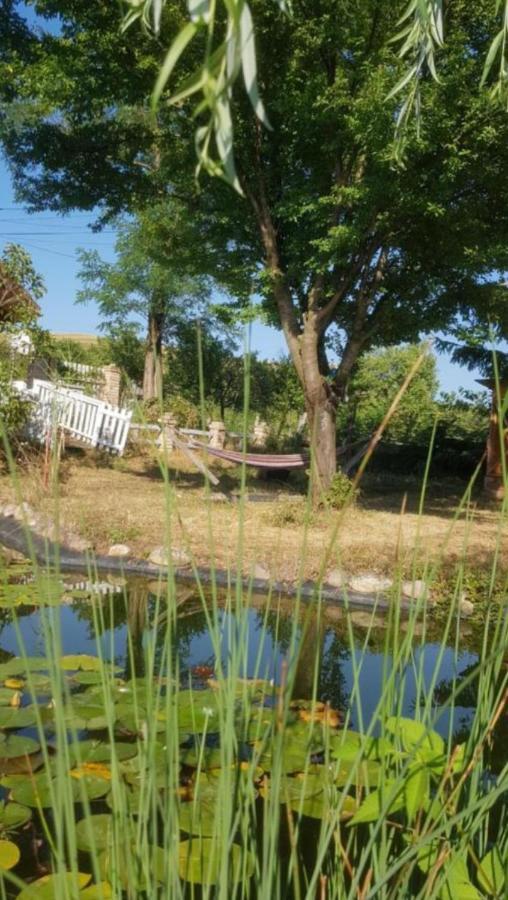Cabana Mare In Intimitate Si Liniste Bosorod Exterior foto