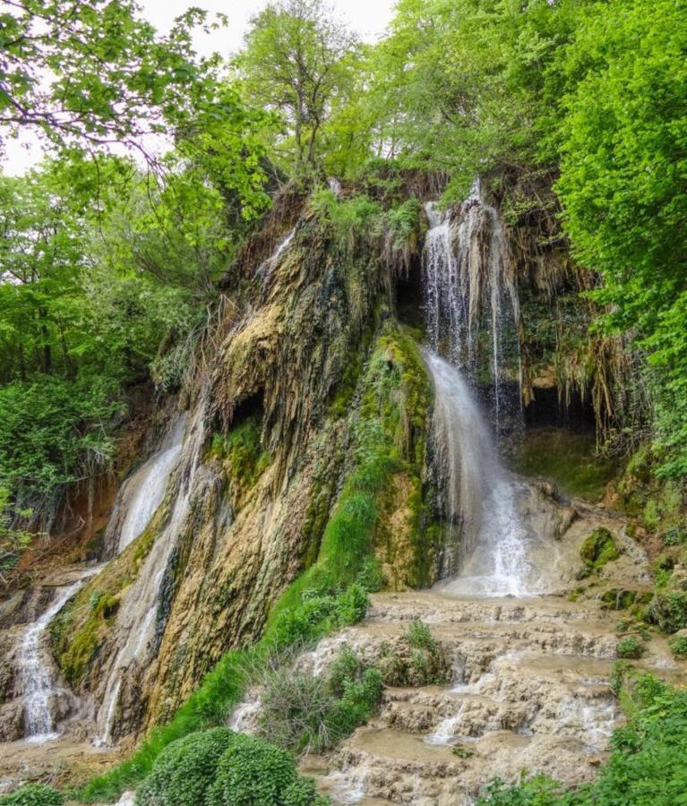 Cabana Mare In Intimitate Si Liniste Bosorod Exterior foto