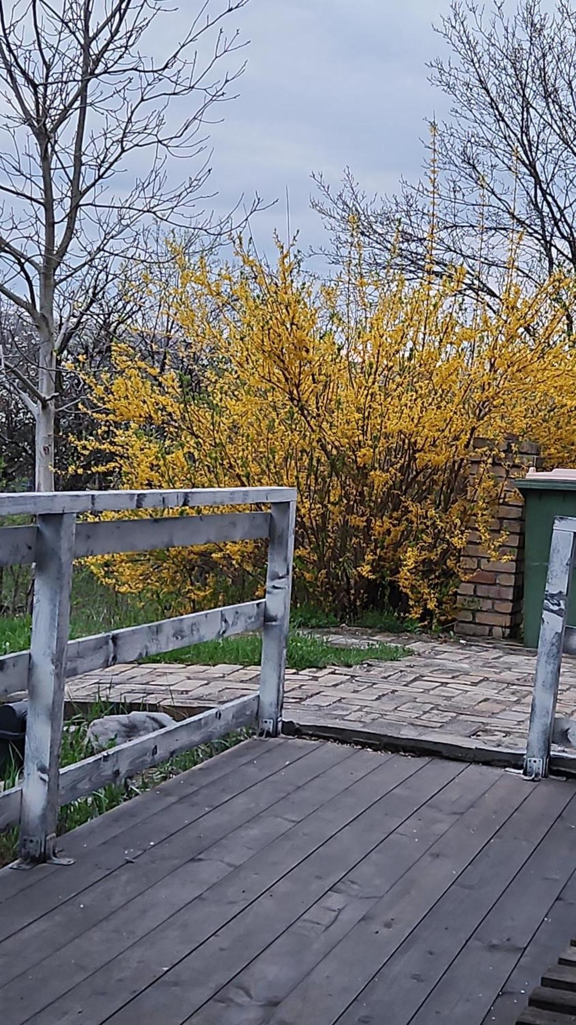 Cabana Mare In Intimitate Si Liniste Bosorod Exterior foto