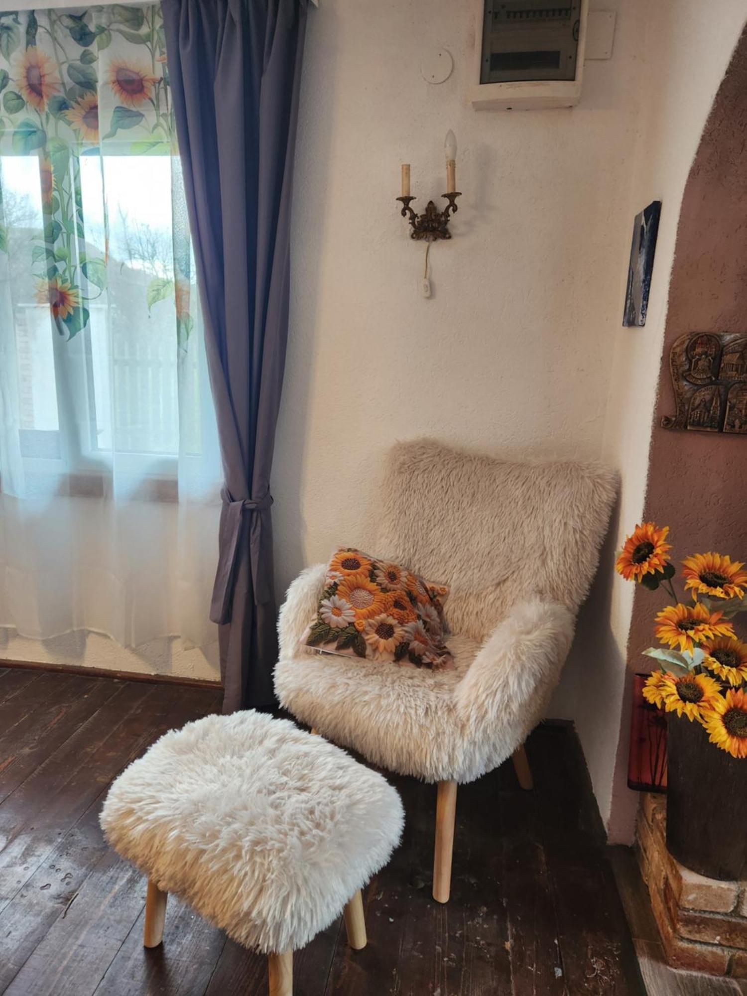 Cabana Mare In Intimitate Si Liniste Bosorod Exterior foto